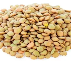 Lentejas 1 kg